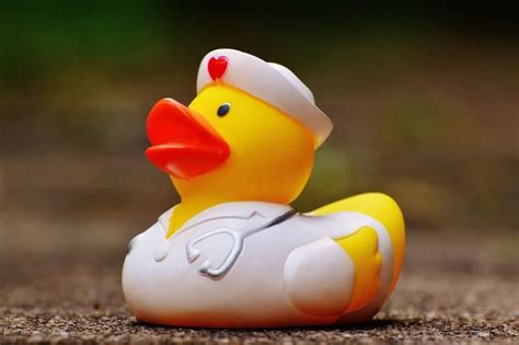 How to Care For and Treat a Sick Duck — Raising Ducks