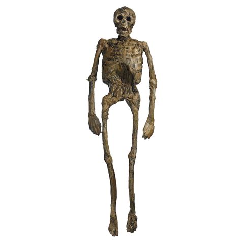 Full Body Rotten Skeleton - Walmart.com - Walmart.com