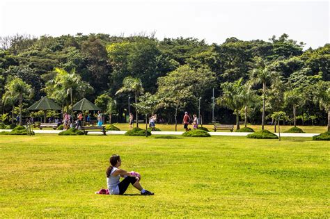 The best São Paulo city parks and green spaces