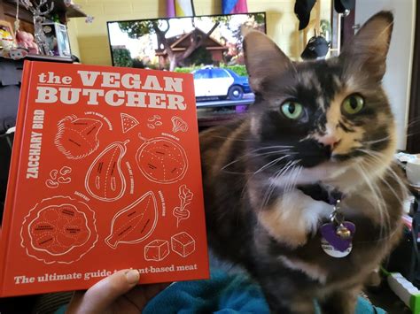 Hoping for some good cat meat recipes! : r/cateatingvegans