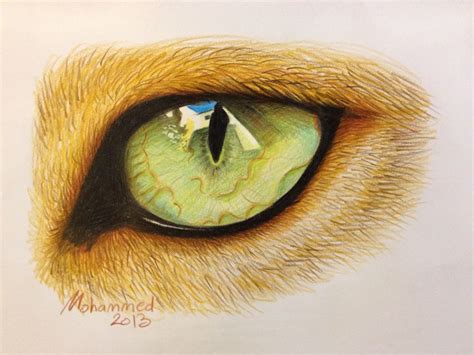 eye lion Color pencil | Coloured pencils, Colored pencils, Drawing techniques