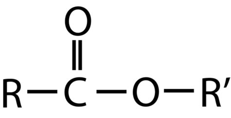 20.16 Carboxylic Acids and Esters - Chemistry LibreTexts