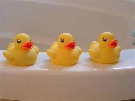 Rubber Duckies Free Stock Photo - Public Domain Pictures