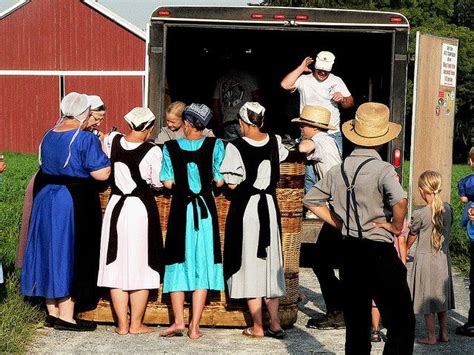 Guide to amish wedding traditions in lancaster – Artofit