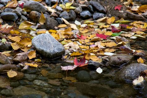autumn, fall, foliage, leaves, nature, rocks, stream, waterfall 4k wallpaper - Coolwallpapers.me!