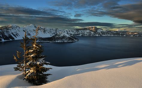 Download Tree Landscape Winter Snow Water Nature Lake HD Wallpaper