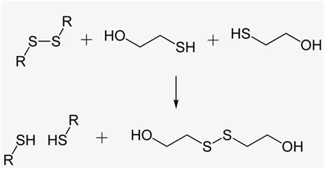 Disulfide Bond Cleavage By 2 Mercaptoethanol 2d - 1100x573 PNG Download - PNGkit