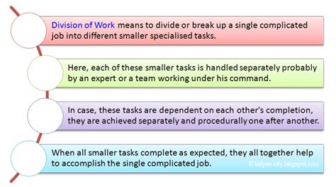 Fayol's Principle of Division of Work - Meaning, Example, Explanation