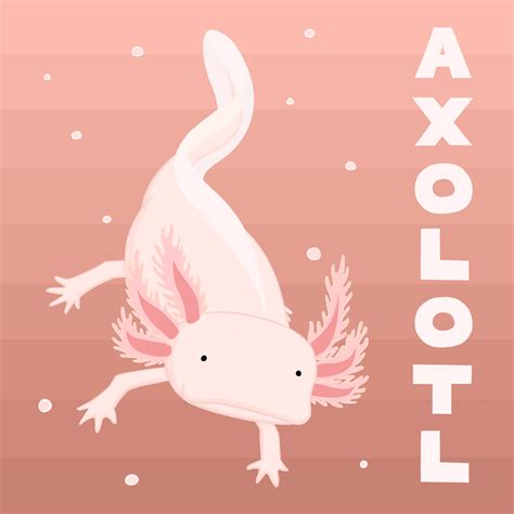 Adorable Axolotls Wallpapers - Wallpaper Cave