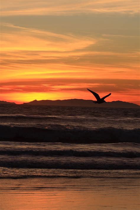 California Sunset On New Year's Eve Free Stock Photo - Public Domain Pictures