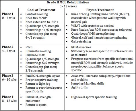 MCL Rehabilitation- From Ruin to Return to Play — Rayner & Smale