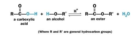 8. Esters and Formation of esters - Alcohol, carboxylic acid and esters