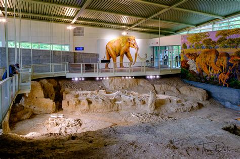 Waco Mammoth National Monument in Waco, Texas | Tom Dills Photography Blog