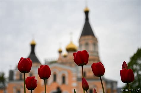 Pokrovsk Cathedral at Kyiv | Orthodox Times (en)