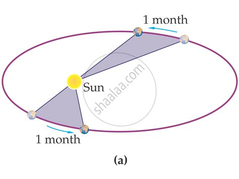 Torque and Angular Momentum | Shaalaa.com