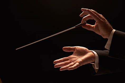 10,000+ Orchestra Conductor Stock Photos, Pictures & Royalty-Free Images - iStock