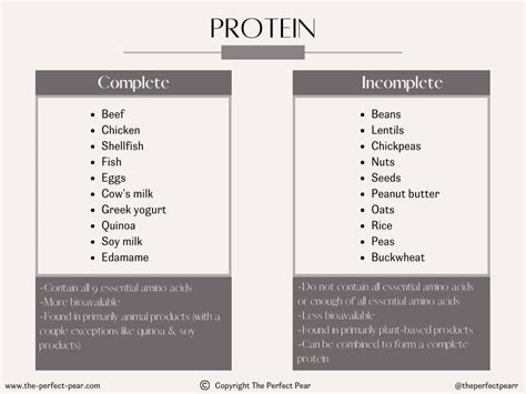 Macronutrients 101: Facts About Protein - The Perfect Pear