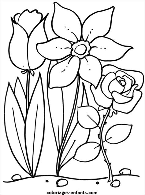 Flowers #154975 (Nature) – Free Printable Coloring Pages