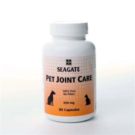 Prevent Pet Joint Pain: Exercise With Your Dog!