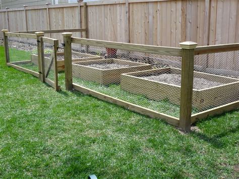 20 things to know about Vegetable garden fence chicken wire - house ...