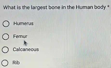 what is the largest bone in the human body * humerus femur calcaneous ...