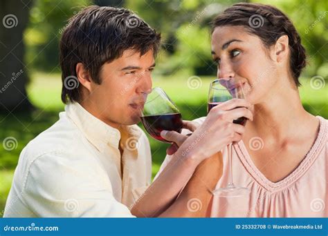 Two Friends Drinking Wine while Linking Arms Stock Photo - Image of relaxed, holding: 25332708