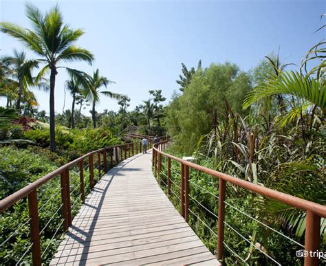 Mayan Palace Nuevo Vallarta (Nuevo Vallarta ): What to Know BEFORE You ...