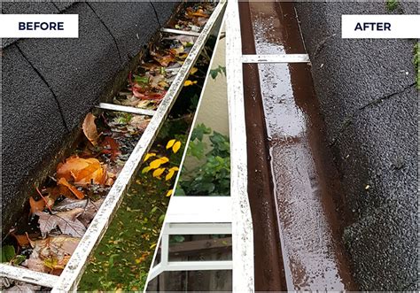 Gutter Cleaning in Vancouver and Area