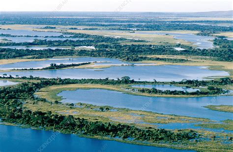 Pantanal wetland, Brazil - Stock Image - E600/0191 - Science Photo Library