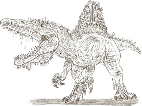 Best Spinosaurus Coloring Page | Educative Printable