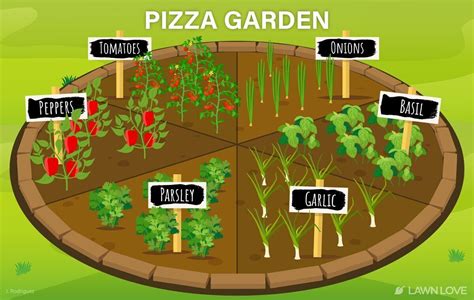 How to Create a Pizza Garden