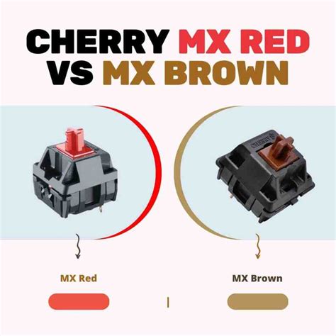 Cherry MX Red vs MX Brown (Everything you Need to Know) - How to Type ...