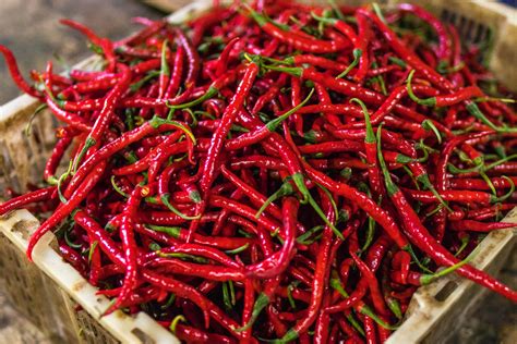 What is Capsaicin and What Does it Do? – Capsiva