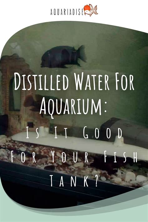 Distilled Water for the Aquarium: In-Depth Aquarist's Guide