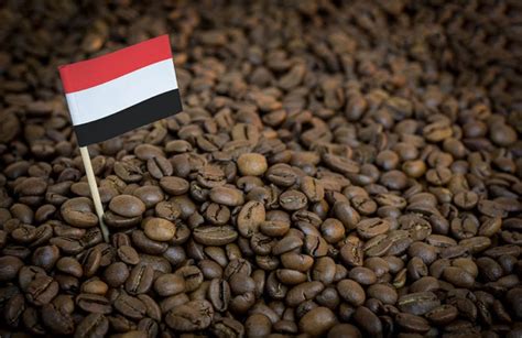 Yemen Coffee Guide: History, Flavors, and Brewing Tips | Coffee Affection