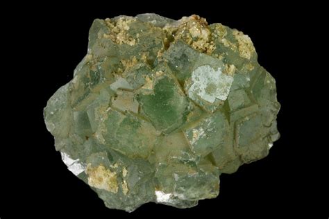 1.5" Green Fluorite Crystal Cluster - Fluorescent (#136881) For Sale ...