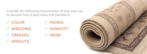 How To Clean A Viscose Rug | Wool & Viscose Rug Cleaning