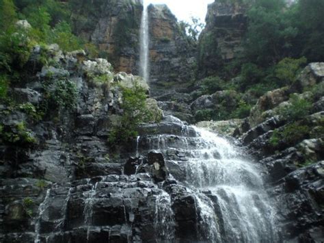 Talakona Waterfalls - Near Tirupati - Jungle Safari | How to Reach