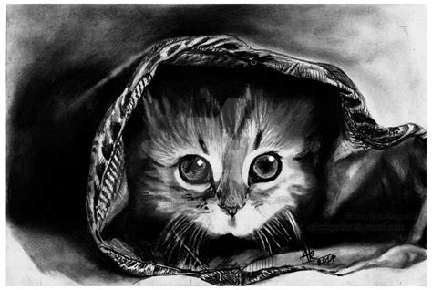 Cat Pencil Drawings By Artist Aji by Ajikumar on DeviantArt