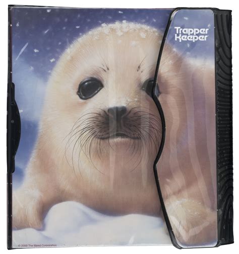 Another contender for the absolute cutest Trapper Keeper® binder ...