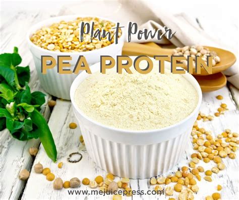 Pea Protein Isolate - MeJuice