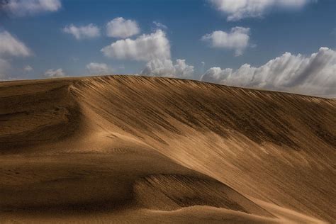 Medanos de Coro National Park Photograph by Giacomo Antico | Fine Art ...