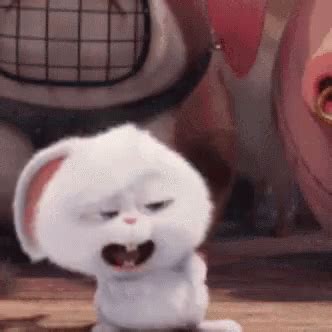 Rabbit Happy GIF - Rabbit Happy Dance - Discover & Share GIFs