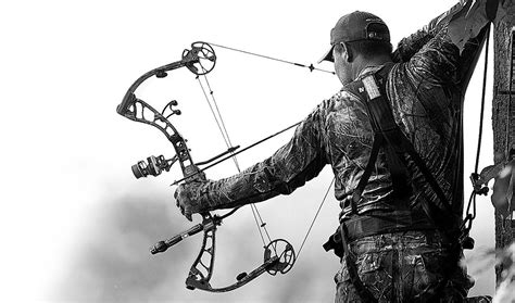 Archery Arrow Phone Wallpapers - Top Free Archery Arrow Phone ...