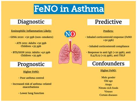 Update on the Role of FeNO in Asthma Management