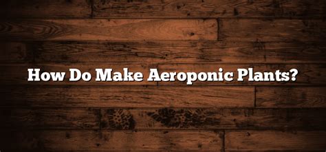 How Do Make Aeroponic Plants? - Inter Culturalu