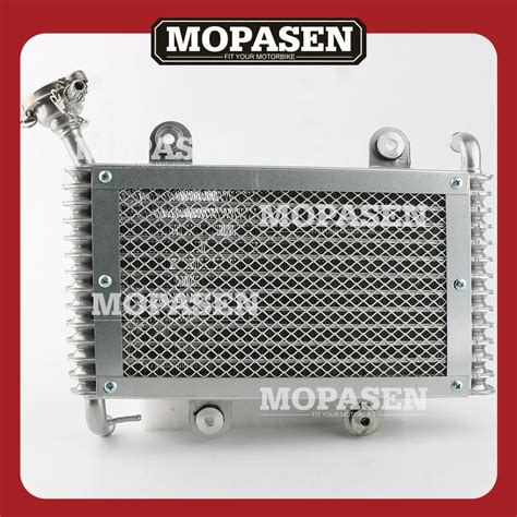 Bashan 200CC 250CC ATV Quad Radiator Bashan 200CC 250CC ATV 4 Holes Motorcycle Accessories ...