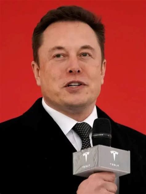 Did Elon Musk Receive Government Grant For Tesla?