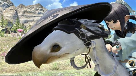 Wandering samurai-style cute chocobo armor “Samurai Barding” | Norirow Note Eorzean adventure ...