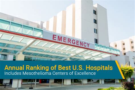 Mesothelioma Centers of Excellence Among the Best U.S. Hospitals